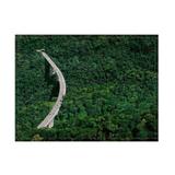 Jogo americano decorativo, criativo e descolado Estrada - tamanho 30 x 40 cm - Colours creative photo decor