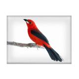 Jogo americano decorativo, criativo e descolado Passarinho vermelho - tamanho 30 x 40 cm - Colours creative photo decor