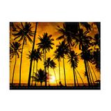 Jogo americano decorativo, criativo e descolado Pôr do sol e coqueiros - tamanho 30 x 40 cm - Colours creative photo decor