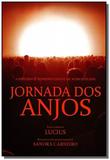 Jornada dos anjos - Vivaluz