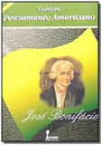 Jose bonifacio 01 - Icone