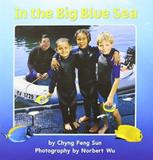 Journeys grade k small big book - in the big blue sea (unit 4, book 18) - Houghton mifflin