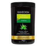 Kanechom Cachos Disciplinados Babosa Máscara Condicionante 1kg