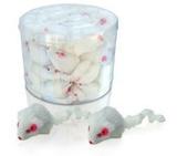 Kit 02 Ratinho Brinquedo Gato Branco Felpudo - Chalesco