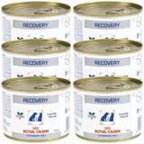 Kit 06un Alimento Úmido Recovery Royal Canin Cães Gatos 195g