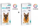 Kit 2 Antipulgas e Carrapatos Bravecto MSD para Cães de 20 a 40 kg