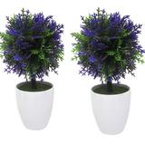 Kit 2 Plantas Mini Bonsai Artificial Flor Com Vasinho Branco - Imporiente