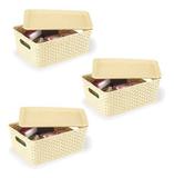 Kit 3 Caixas Organizadoras Rattan 6,5 Litros Com Tampa - Plasnorthon