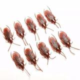 Kit 5 Baratas De Borracha - Pet import