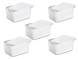Kit 5 Caixas Organizadoras Rattan Branca 15 Litros M. Libano