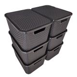 Kit 6 Caixas Organizadoras Rattan 15 Litros 34,5x26x18cm - Plasnorthon