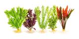 Kit A - 5 Plantas Artificial De Plástico Para Aquário - Enfeite Aquario - Plantas Decoração Aquário Doce Ou Marinho - Kares
