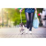 kit Bolsa Pet Passeio Cachorro - Turquesa - Plasvale