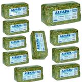 Kit c/10 Alfafa Prensada 500g - Hamster, Chinchila, Porquinho - Murano