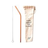 Kit Canudo Inox Reutilizável Bronze com Limpador e Capinha Protetora - Econudo