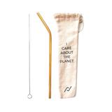 Kit Canudo Inox Reutilizável Dourado com Limpador e Capinha Protetora - Econudo