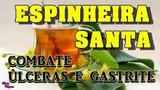 Kit Capsula Espinheira Santa 250mg - 2 potes - Vita farma