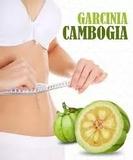 Kit Capsula Garcinia Gambogia 500mg - 3 potes - Florien