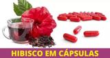 Kit Capsula Hibiscus 300mg - 3 potes - All chemistry