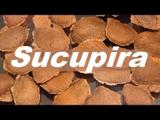 Kit Capsula Sucupira 300mg - 2 potes - Florien