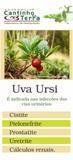 Kit Capsula Uva Ursi 250mg - 3 potes - All chemistry