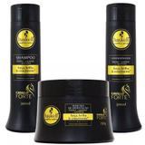 Kit Cavalo Forte Shampoo Condicionador e Máscara P - Haskell