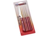 Kit Churrasco 6 Peças Tramontina - Polywood 21109/674