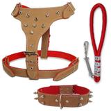 Kit Coleira para cachorro peitoral e guia com amortecedor - Couro dog