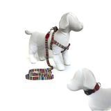 Kit Coleira, Peitoral e Guia para Cachorros - Tamanho Pequeno - Modelo Afrika - Petzoo