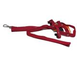 Kit com Peitoral e Guia One Dog - Vermelho - Tamanho PP