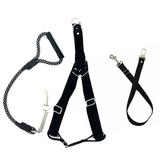 Kit Conjunto Peitoral com guia tamanho GG e Adaptador de cinto - Cor Preto - Petzoo