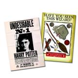 Kit Decorativo Cartonado Harry Potter Festcolor - Festabox