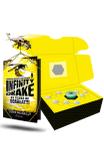 Kit Especial - Livro Infinity Drake - Novo conceito