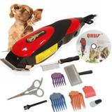 Kit Maquina De Tosa Aparadora Profissional P Cachorro 127v - Qiruit