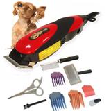 Kit Máquina Tosa Aparadora Profissional Cachorro e Pets 110V - Qirui