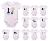 KIt Mesversário Ursinho Príncipe Azul - Mundo dos personalizados