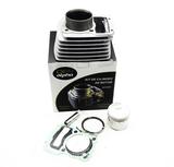 Kit Motor Cilindro Pistão e Anéis Moto Dafra Speed 150 - Alpha