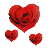 Kit Painel Coração Rosas Vermelhas Festança - Festabox