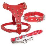 Kit Peitoral Coleira e Guia Couro Top Rubber com Cravo Pitbull - Outpet