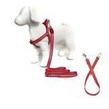 Kit Peitoral, Guia e Cinto de Segurança para Cachorros - Tamanho Médio - Vermelho - Petzoo