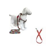 Kit Peitoral, Guia e Cinto de Segurança para Cachorros - Tamanho Pequeno - Modelo Afrika - Petzoo