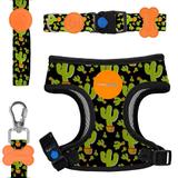 Kit Peitoral Mesh + Guia + Coleira Cães Pet Dog Cacto - Meuauau