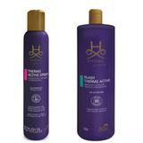 Kit pet society thermo active mascara de hidratação argan + spray finalizador thermo protetor