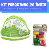 Kit Porquinho da Índia com Bebedouro e Banheiro Pawise