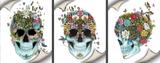 Kit Telas Caveiras em Canvas 3un - Stickerboom