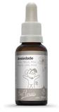 Kit Tratamento Floral para Cães e Gatos: Floral uso em Emergências: SOS/ Resgate/ Rescue, Medo e Ansiedade - Bioflorais