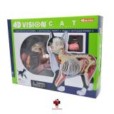 Kit Veterinário para estudo - Cachorro e Gato - 4d master