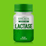 Lactase 200 mg - 60 cápsulas - Farmácia eficácia
