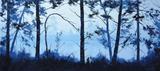 Lago Azul - Graham Gercken - Tela 60x134 Para Quadro - Santhatela