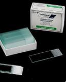 Lâminas 26X76 para Microscopia Ponta Fosca - C/50 - Olen